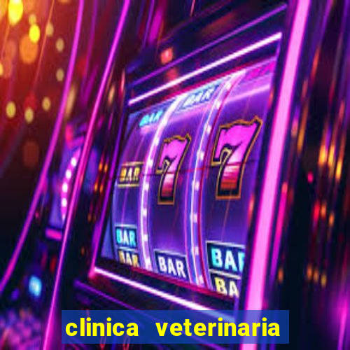 clinica veterinaria cuidar betim